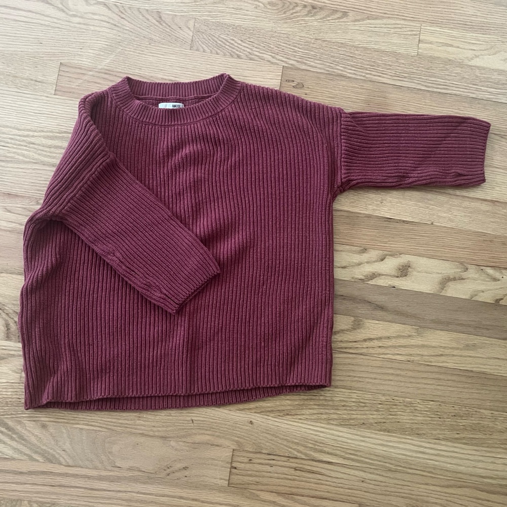 amuse society sweater